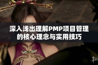 深入浅出理解PMP项目管理的核心理念与实用技巧