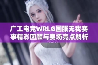 广工电竞WRLG国服无我赛事精彩回顾与赛场亮点解析