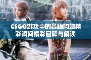 CSGO游戏中的暴躁阿姨精彩瞬间精彩回顾与解读