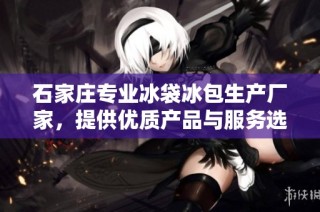 石家庄专业冰袋冰包生产厂家，提供优质产品与服务选择