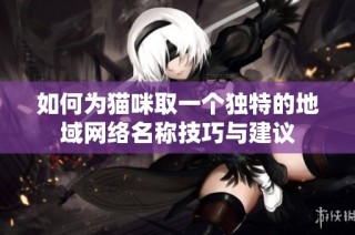 如何为猫咪取一个独特的地域网络名称技巧与建议