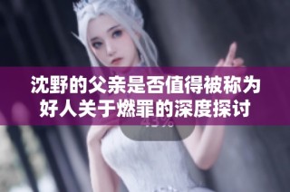 沈野的父亲是否值得被称为好人关于燃罪的深度探讨