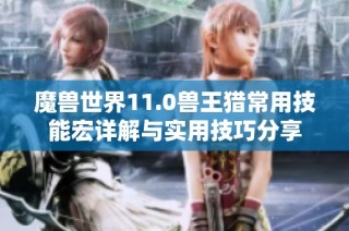 魔兽世界11.0兽王猎常用技能宏详解与实用技巧分享