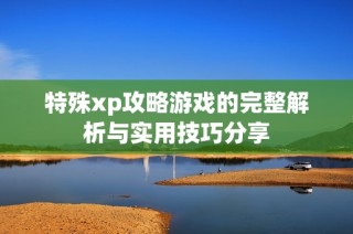 特殊xp攻略游戏的完整解析与实用技巧分享