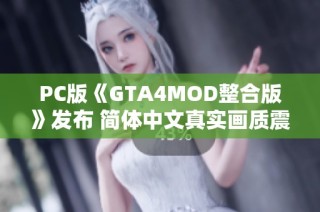 PC版《GTA4MOD整合版》发布 简体中文真实画质震撼来袭