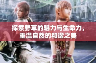 探索野草的魅力与生命力，重温自然的和谐之美