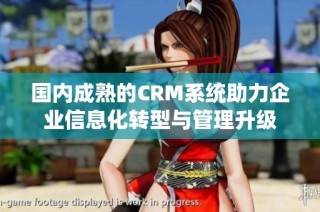 国内成熟的CRM系统助力企业信息化转型与管理升级