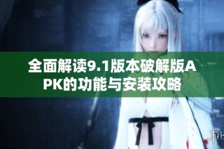 全面解读9.1版本破解版APK的功能与安装攻略