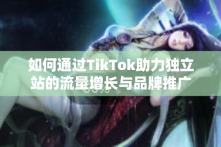 如何通过TikTok助力独立站的流量增长与品牌推广
