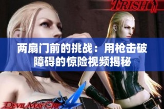 两扇门前的挑战：用枪击破障碍的惊险视频揭秘