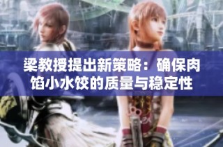 梁教授提出新策略：确保肉馅小水饺的质量与稳定性