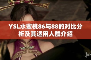 YSL水蜜桃86与88的对比分析及其适用人群介绍