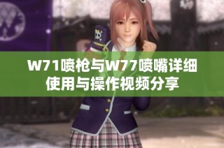 W71喷枪与W77喷嘴详细使用与操作视频分享
