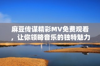 麻豆传谋精彩MV免费观看，让你领略音乐的独特魅力