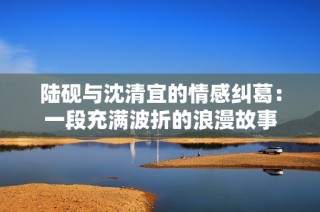 陆砚与沈清宜的情感纠葛：一段充满波折的浪漫故事