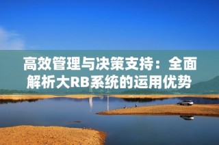高效管理与决策支持：全面解析大RB系统的运用优势