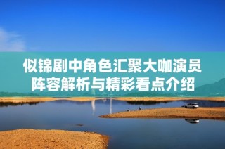 似锦剧中角色汇聚大咖演员阵容解析与精彩看点介绍