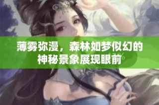 薄雾弥漫，森林如梦似幻的神秘景象展现眼前