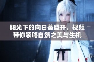阳光下的向日葵盛开，视频带你领略自然之美与生机