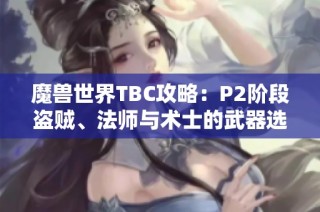 魔兽世界TBC攻略：P2阶段盗贼、法师与术士的武器选择指南