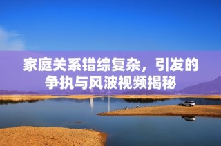 家庭关系错综复杂，引发的争执与风波视频揭秘