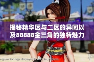 揭秘精华区与二区的异同以及88888金三角的独特魅力