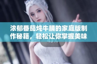 浓郁番茄炖牛腩的家庭版制作秘籍，轻松让你掌握美味秘诀