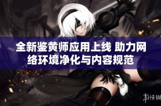 全新鉴黄师应用上线 助力网络环境净化与内容规范