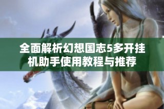 全面解析幻想国志5多开挂机助手使用教程与推荐