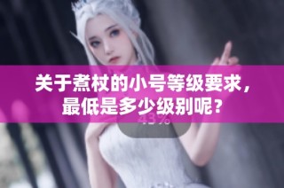 关于煮杖的小号等级要求，最低是多少级别呢？