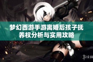 梦幻西游手游离婚后孩子抚养权分析与实用攻略