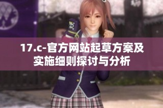 17.c-官方网站起草方案及实施细则探讨与分析