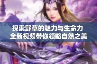 探索野草的魅力与生命力 全新视频带你领略自然之美