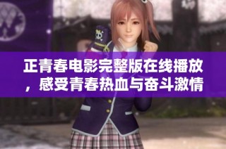 正青春电影完整版在线播放，感受青春热血与奋斗激情