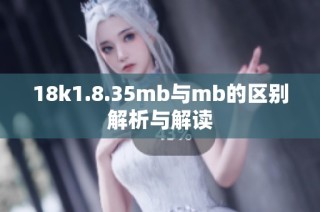 18k1.8.35mb与mb的区别解析与解读