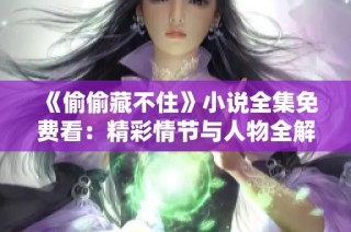 《偷偷藏不住》小说全集免费看：精彩情节与人物全解析