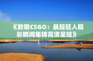 《致敬CSGO：暴躁狂人精彩瞬间集锦高清呈现》