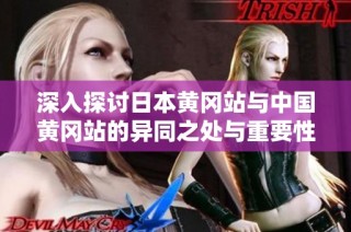 深入探讨日本黄冈站与中国黄冈站的异同之处与重要性分析