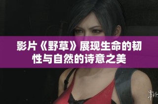 影片《野草》展现生命的韧性与自然的诗意之美