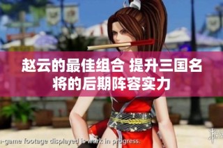 赵云的最佳组合 提升三国名将的后期阵容实力