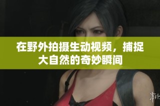 在野外拍摄生动视频，捕捉大自然的奇妙瞬间