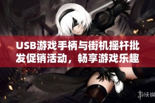 USB游戏手柄与街机摇杆批发促销活动，畅享游戏乐趣