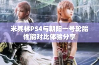 米其林PS4与朝阳一号轮胎性能对比体验分享