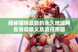 揭秘猫咪最新的永久地域网名背后意义及流行原因