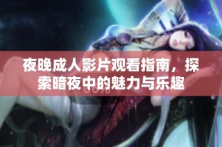 夜晚成人影片观看指南，探索暗夜中的魅力与乐趣