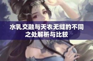 水乳交融与天衣无缝的不同之处解析与比较