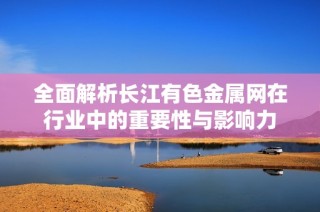 全面解析长江有色金属网在行业中的重要性与影响力