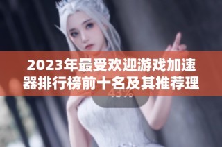 2023年最受欢迎游戏加速器排行榜前十名及其推荐理由分析