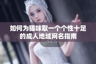 如何为猫咪取一个个性十足的成人地域网名指南