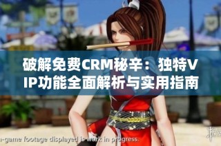 破解免费CRM秘辛：独特VIP功能全面解析与实用指南